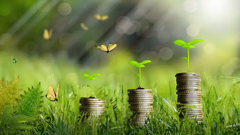 Opportunità della green economy per le imprese locali