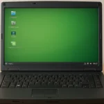 Linux Mint 32 Bit Italiano Download: Guida Completa per l’Installazione