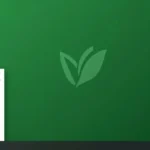 Guida a Linux Mint Cinnamon in Italiano: Download dell’ISO e Installazione Passo dopo Passo